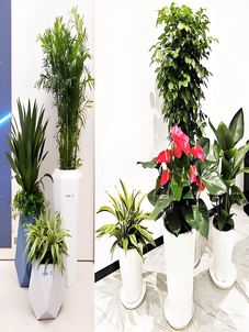 慈溪花木租赁设计